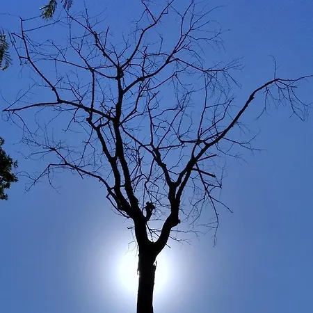 Recanto Só Alegria. Serra Negra  Exterior foto